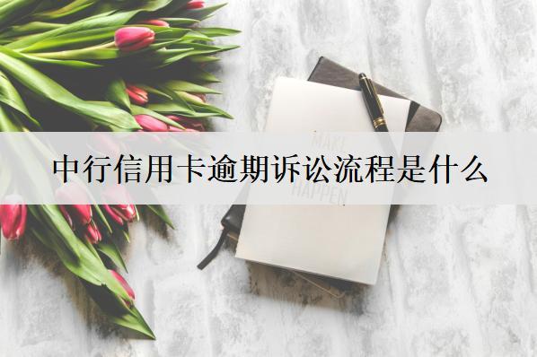 中行信用卡逾期訴訟流程是什么？介紹信用卡逾期詳細(xì)訴訟流程