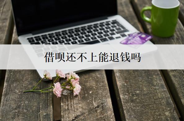 借唄還不上能退錢嗎？逾期會(huì)采取哪些催收措施？