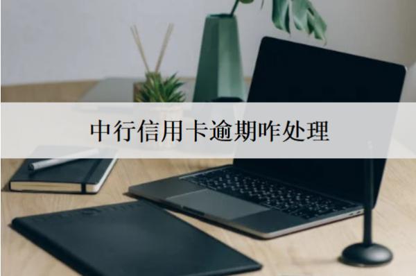 中行信用卡逾期咋處理？中行信用卡逾期處理方法解析