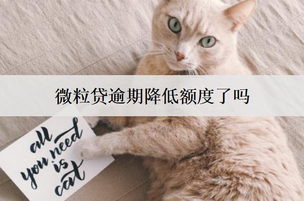 微粒貸逾期降低額度了嗎？微粒貸逾期被降額處理辦法