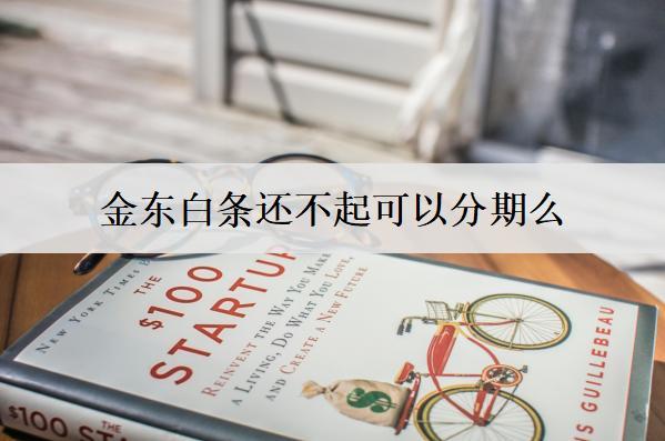 金東白條還不起可以分期么