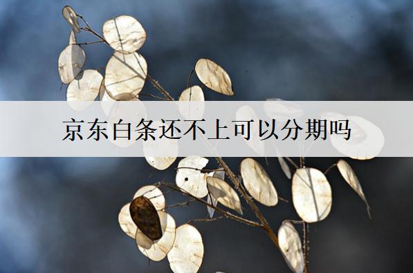 京東白條還不上可以分期嗎？