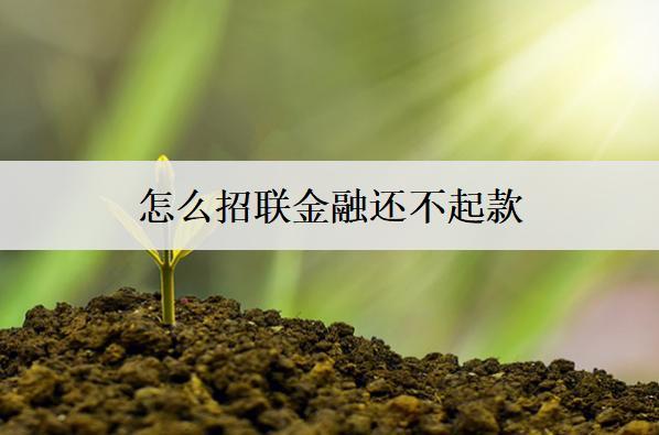 怎么招聯(lián)金融還不起款？詳細(xì)原因分析