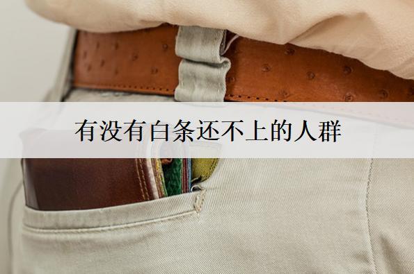 有沒(méi)有白條還不上的人群？