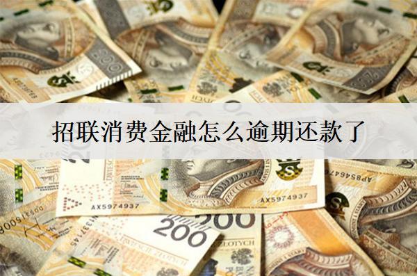 招聯(lián)消費(fèi)金融怎么逾期還款了，逾期原因分析