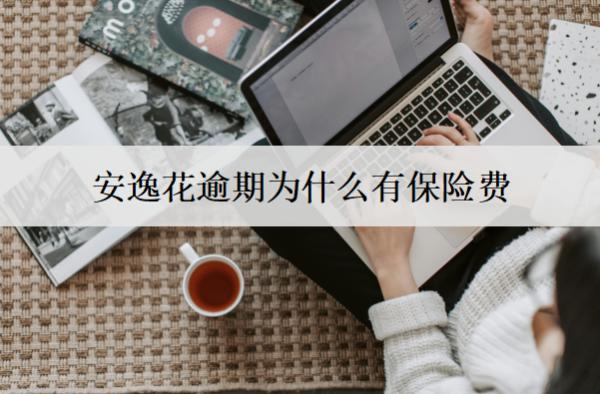 安逸花逾期為什么有保險費？和這個4個因素有關
