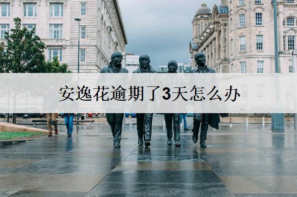 安逸花逾期了3天怎么辦？有這些解決辦法