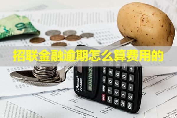 招聯(lián)金融逾期怎么算費(fèi)用的？詳細(xì)解析