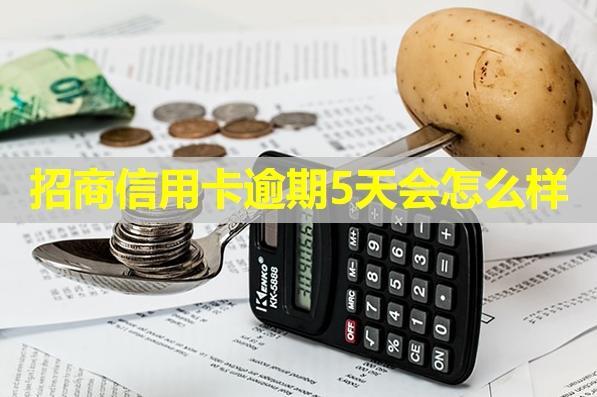 招商信用卡逾期5天會(huì)怎么樣？從三方面分析后果