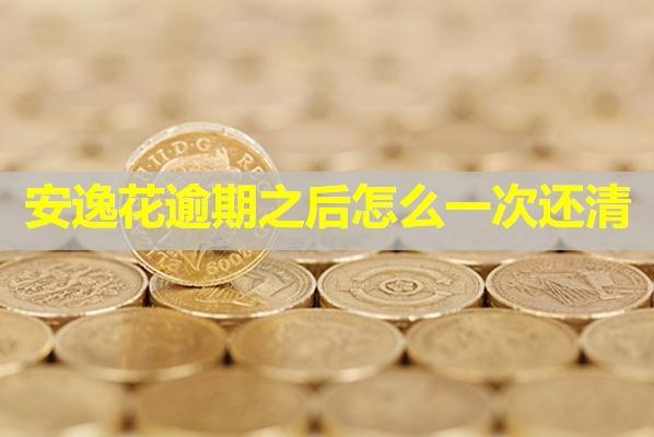 安逸花逾期之后怎么一次還清？教你兩種方式搞定