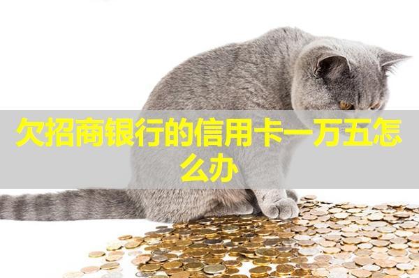 欠招商銀行的信用卡一萬五怎么辦？