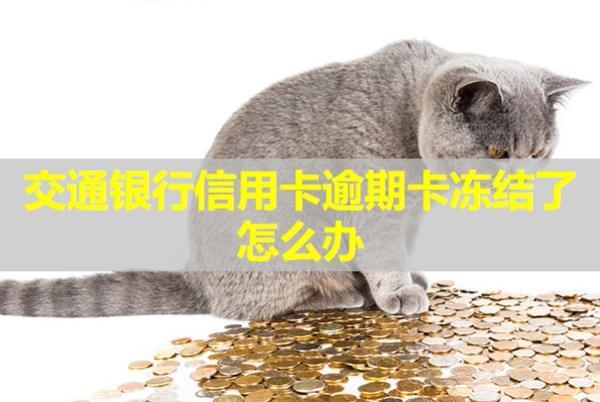 交通銀行信用卡逾期卡凍結(jié)了怎么辦？