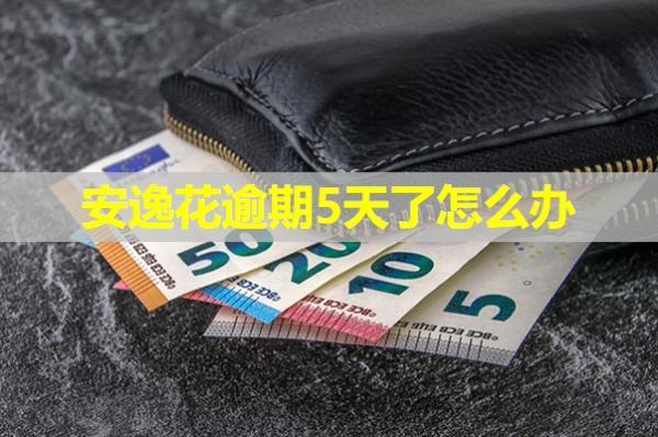 安逸花逾期5天了怎么辦？