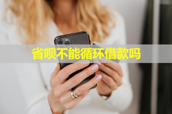 省唄不能循環(huán)借款嗎？再次使用還有審核嗎？