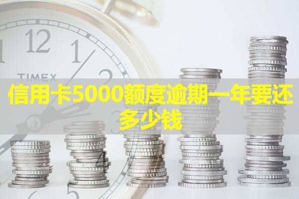 信用卡5000額度逾期一年要還多少錢？詳細解析