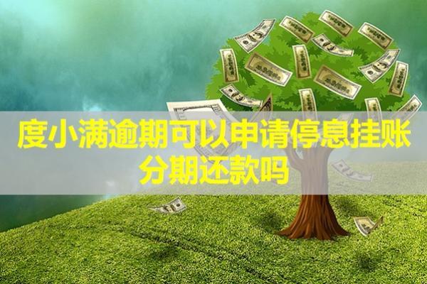度小滿逾期可以申請停息掛賬分期還款嗎？詳細步驟解析