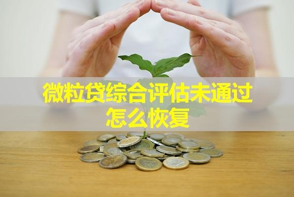 微粒貸綜合評估未通過怎么恢復(fù)？全面解析
