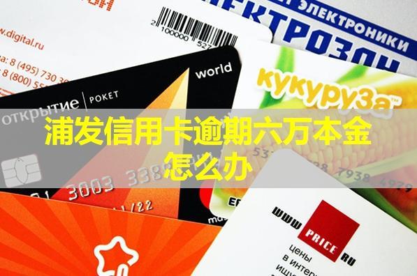 浦發(fā)信用卡逾期六萬本金怎么辦？