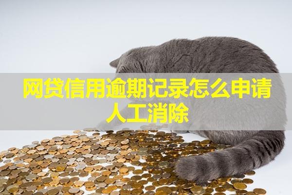 網(wǎng)貸信用逾期記錄怎么申請(qǐng)人工消除？