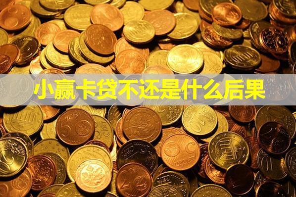 小贏卡貸不還是什么后果？還不上怎么辦？