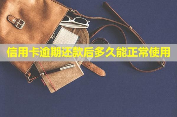 信用卡逾期還款后多久能正常使用？利息和違約金能免嗎？