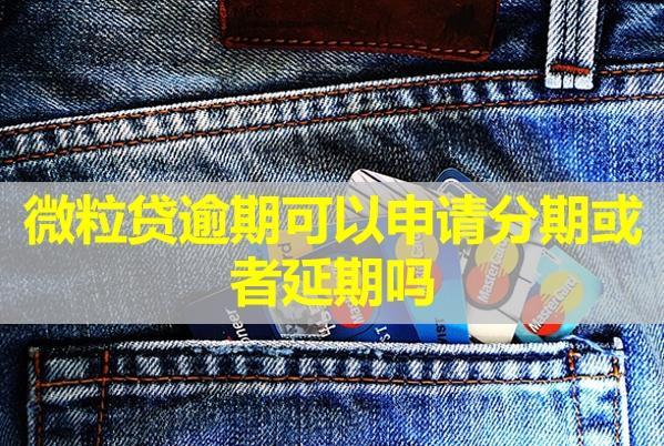 微粒貸逾期可以申請分期或者延期嗎？協(xié)商后還不上會怎樣？