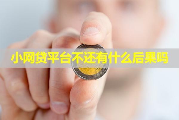 小網(wǎng)貸平臺不還有什么后果嗎？該如何還款呢？