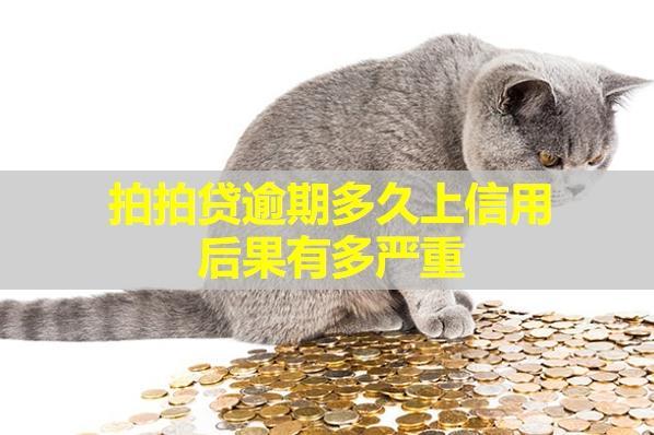 拍拍貸逾期多久上信用？后果有多嚴重？