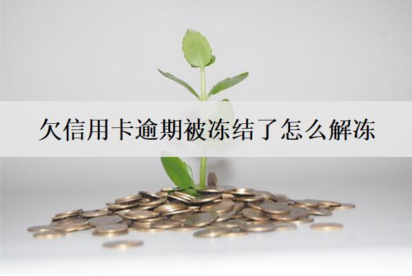 欠信用卡逾期被凍結(jié)了怎么解凍？4個解凍方法