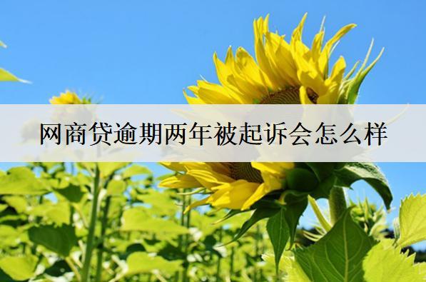 網(wǎng)商貸逾期兩年被起訴