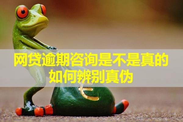 網(wǎng)貸逾期咨詢是不是真的？如何辨別真?zhèn)危?>
                                        </a>



                                    </div>
                                    <div   id=