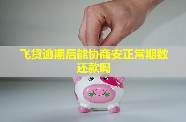 飛貸逾期后能協(xié)商安正常期數(shù)還款嗎？后果怎么樣？