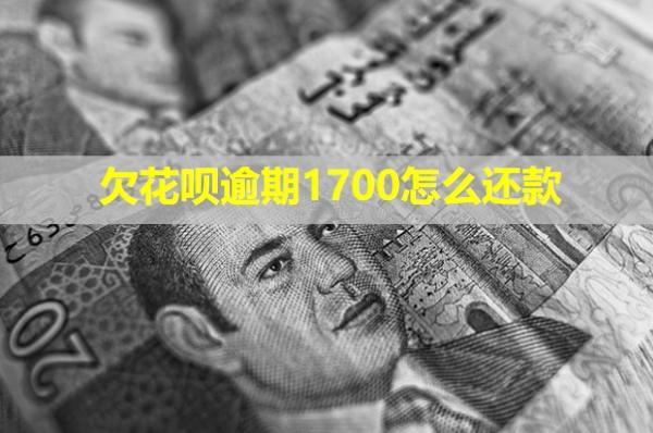 欠花唄逾期1700怎么還款？會打電話給家人們嗎？
