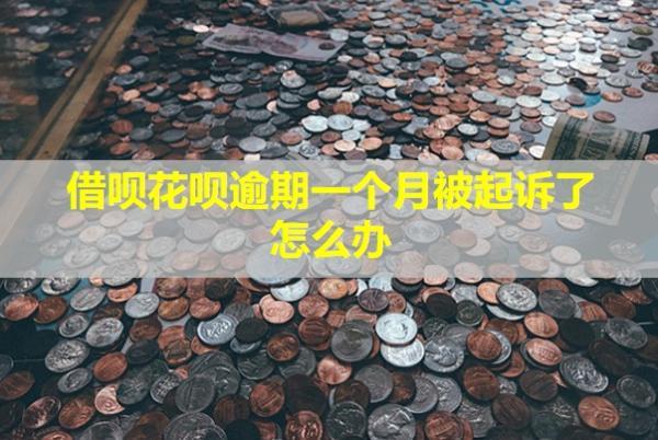 借唄花唄逾期一個(gè)月被起訴了