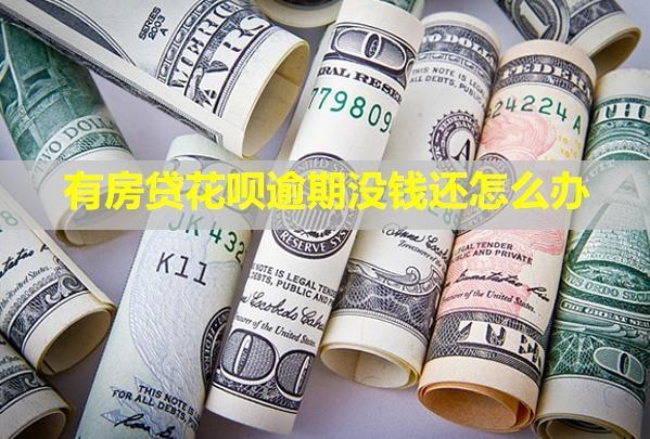 有房貸花唄逾期沒(méi)錢還怎么辦？