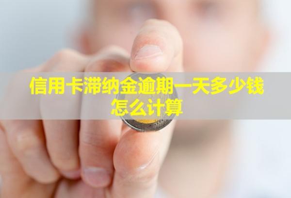 信用卡滯納金逾期一天多少錢？怎么計算？