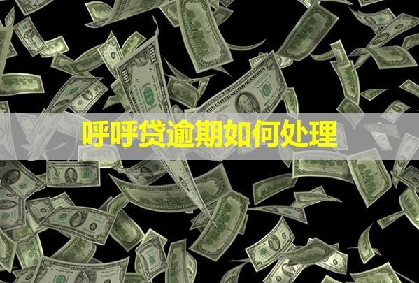呼呼貸逾期如何處理