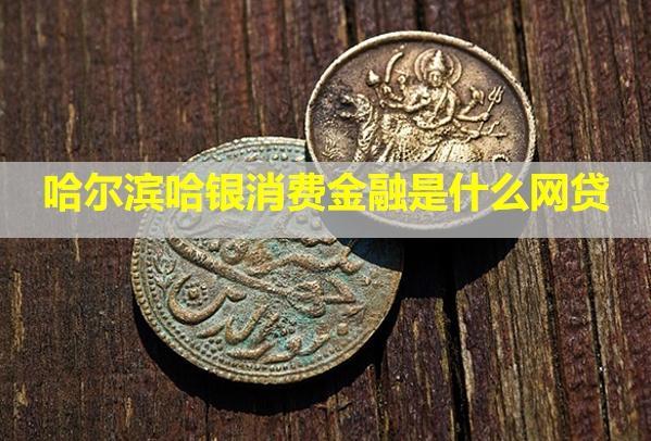 哈爾濱哈銀消費(fèi)金融是什么網(wǎng)貸？逾期幾天上信用？