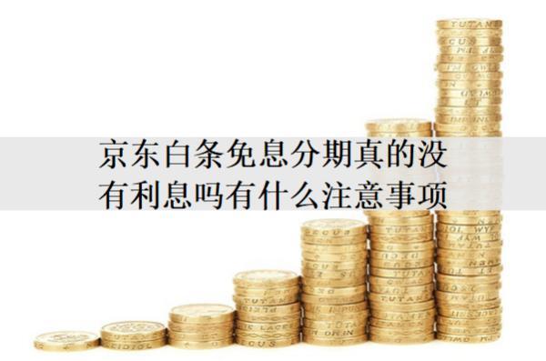 京東白條免息分期真的沒(méi)有利息嗎有什么注意事項(xiàng)？