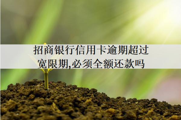 招商銀行信用卡逾期超過寬限期，必須全額還款嗎？