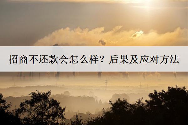 招商不還款會怎么樣？后果及應(yīng)對方法