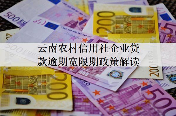 云南農(nóng)村信用社企業(yè)貸款逾期寬限期政策解讀