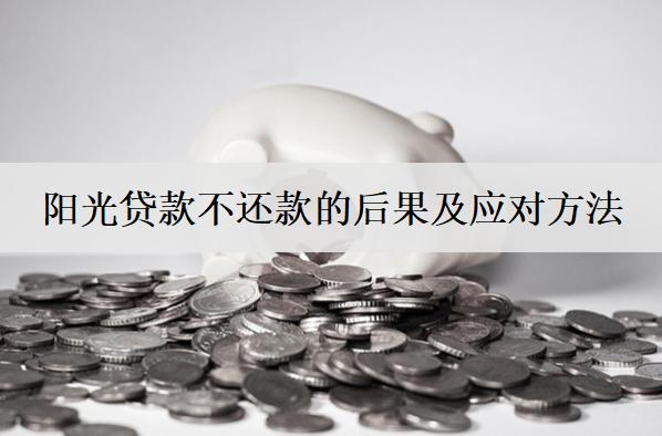 陽(yáng)光貸款不還款的后果及應(yīng)對(duì)方法