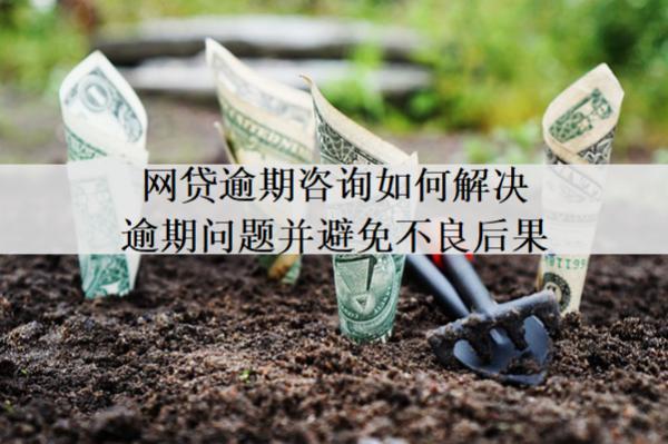 網(wǎng)貸逾期咨詢?nèi)绾谓鉀Q逾期問題并避免不良后果