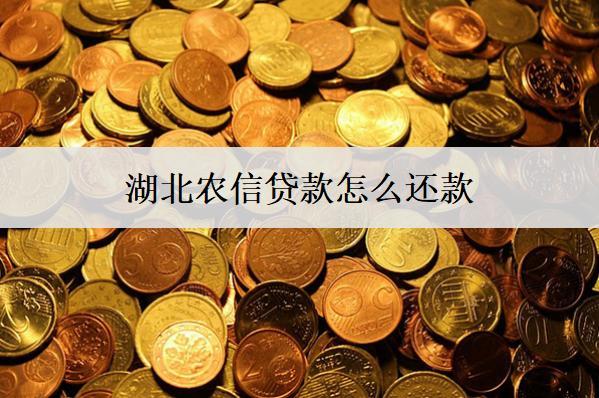 湖北農(nóng)信貸款怎么還款？