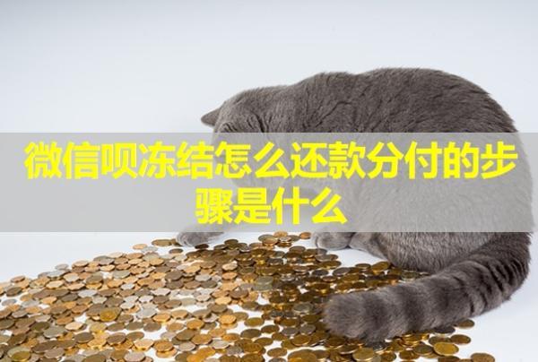 微信唄凍結(jié)怎么還款分付的步驟是什么？怎么快速解除？