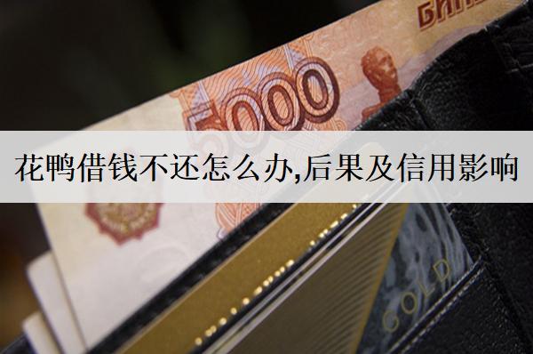 花鴨借錢不還怎么辦，后果及信用影響