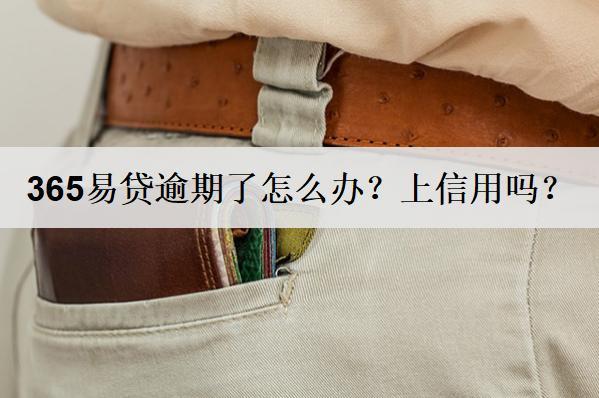 365易貸逾期了怎么辦？上信用嗎？
