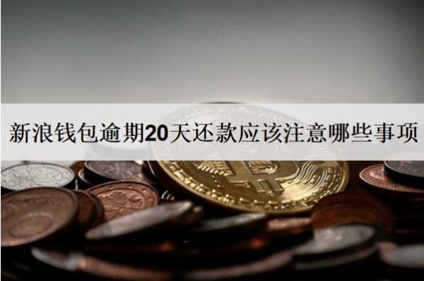 新浪錢包逾期20天還款應(yīng)該注意哪些事項(xiàng)