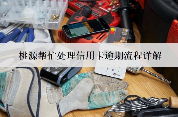 桃源幫忙處理信用卡逾期流程詳解
